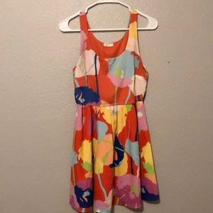 Every Colorful Dress